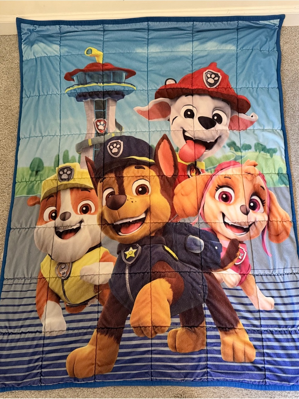 Paw Patrol Weighted Blanket 35x27 Blue Kids Super Soft Plush VGUC